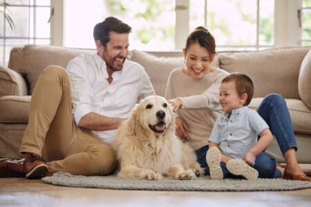 7 Guidelines for Keeping Clean Air in Your Home While Owning a Dog - Coway - USA